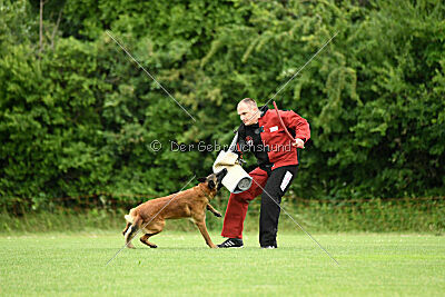 A Mort vom blonden Gift