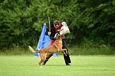 A Mort vom blonden Gift