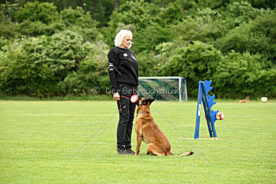 A Mort vom blonden Gift