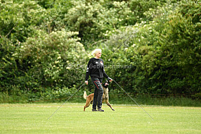 A Mort vom blonden Gift