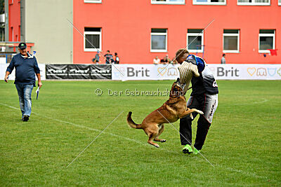 A'Tom Canis Aemona