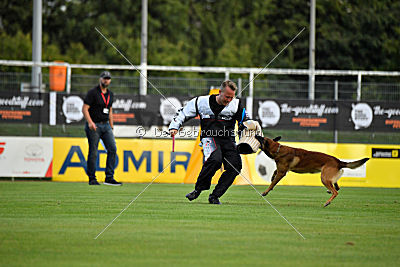 A'Tom Canis Aemona