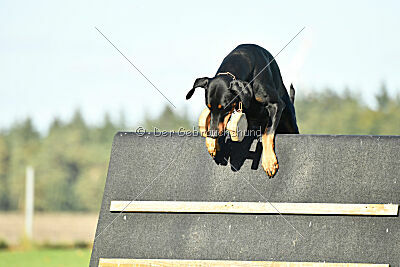 Aaron von der Sternhöhe