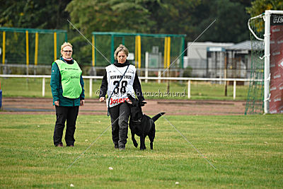 Abby vom Schattenbachtal