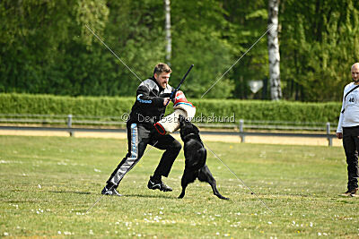 Abs vom alten Schafstall