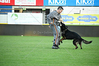 Achiles Iveron
