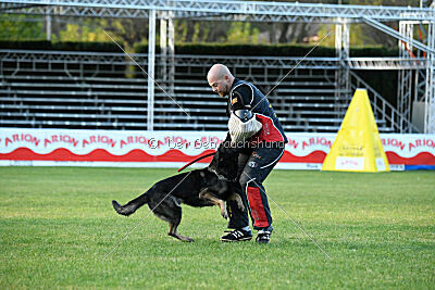 Adele Canis Invictus