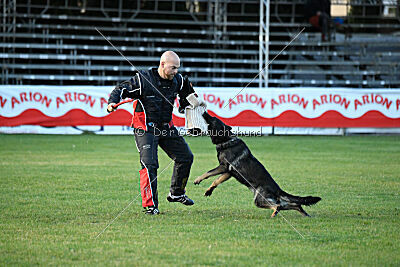 Adele Canis Invictus