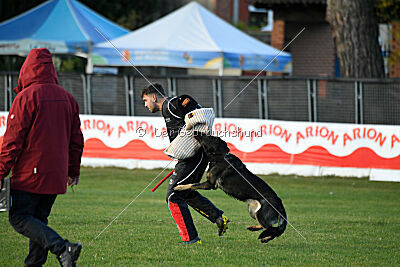 Adele Canis Invictus