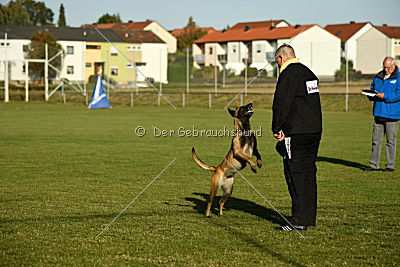 Aica von Paccharun