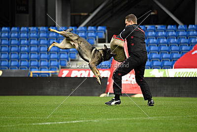 Aik vom Wolfsursprung