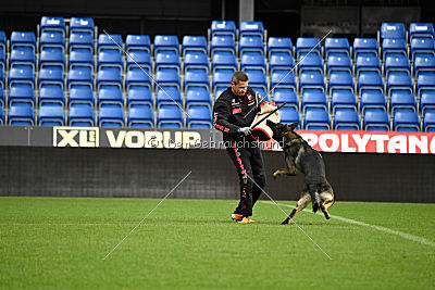 Aik vom Wolfsursprung