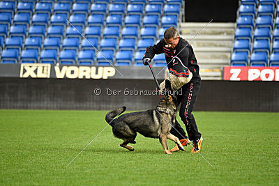 Aik vom Wolfsursprung