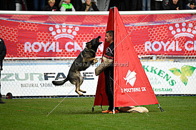 Aik vom Wolfsursprung