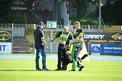 Aiko von den Böckinger Seeräubern