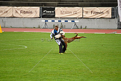 Aiva vom Weinbergland