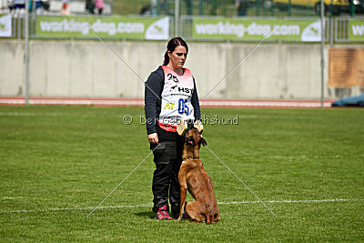 Aiva vom Weinbergland