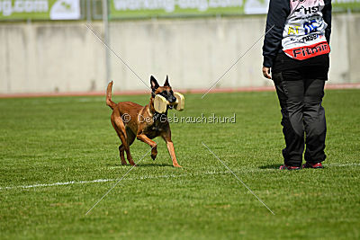 Aiva vom Weinbergland