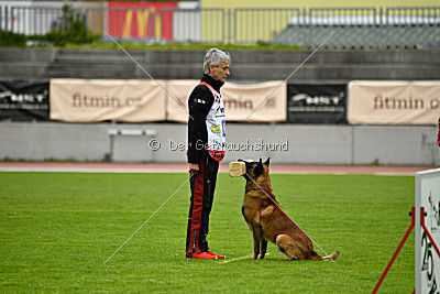 Al Campo Graf Czech