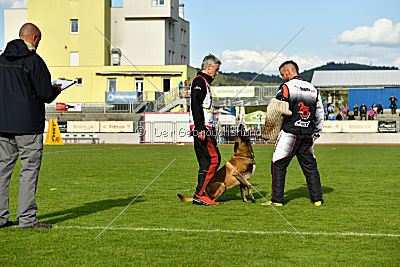 Al Campo Graf Czech