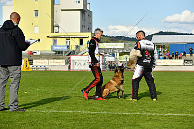 Al Campo Graf Czech