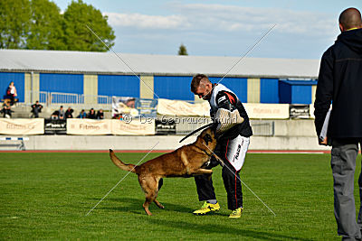Al Campo Graf Czech