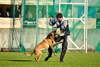 Al Campo Graf Czech