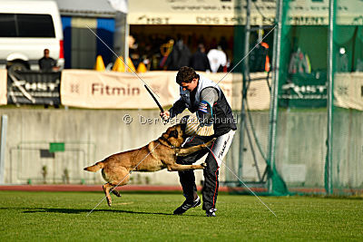 Al Campo Graf Czech