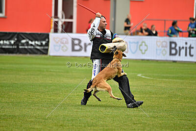 Alexa von der Lilienwiese