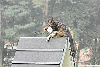 Alfred von den Wannaer Höhen