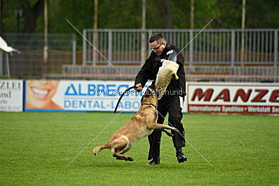 Alice vom Phönixblut