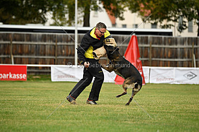 Alternate Attack's A'Odyn