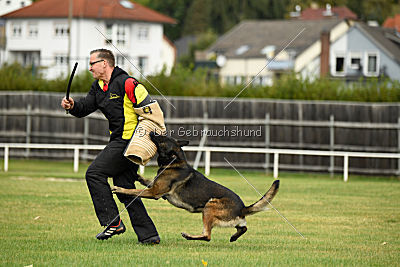 Alternate Attack's A'Odyn