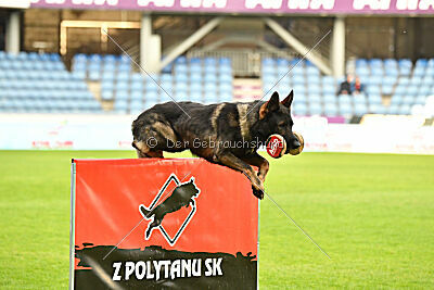 Aman von Clonburg
