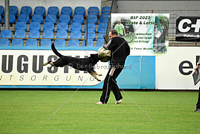 Amirah vom Peiner Burgpark