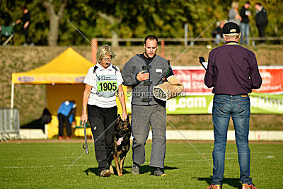 Amy von den goldenen Lorbeeren