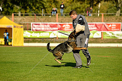 Amy von den goldenen Lorbeeren