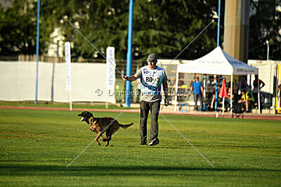 Angry Fox Amidala Padmé