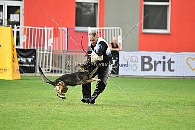 Angry von Starker Wille