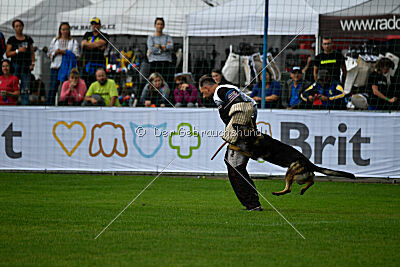 Angry von Starker Wille