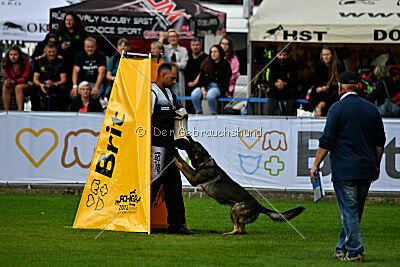 Angry von Starker Wille