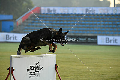 Angry von Starker Wille