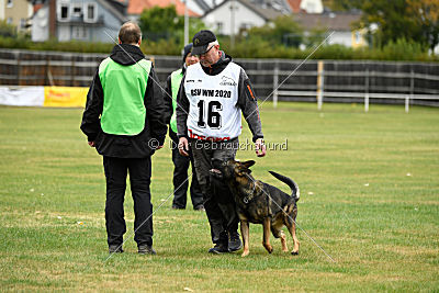 Angry von Starker Wille