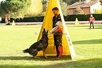 Angry von Starker Wille