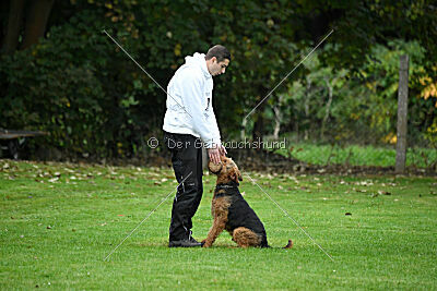 Antrax von Anna Maria