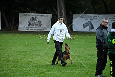 Antrax von Anna Maria