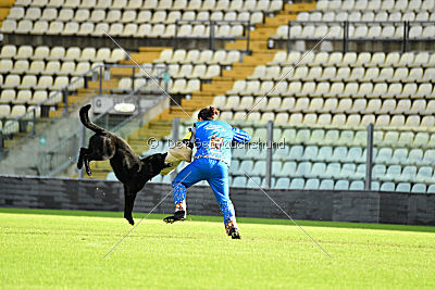 Apollo vom Schloß Solitude