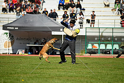 Aqua Bella Is Always Crazy