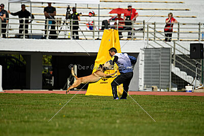 Aqua Bella Is Always Crazy