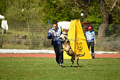 Aqua Bella Is Always Crazy